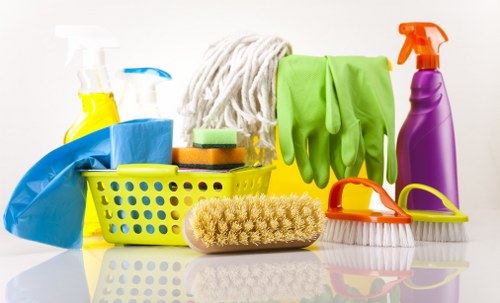 Professional carpet cleaning in a Cambridge Heath home