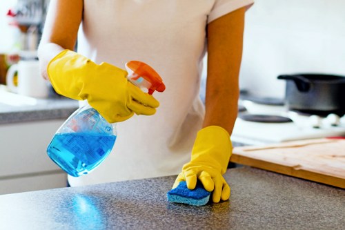 Upholstery cleaning to remove pet smells in a Cambridge Heath home