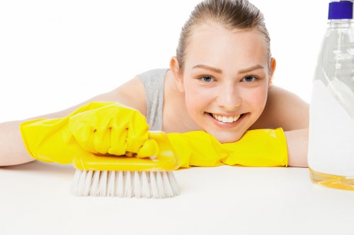 Deep cleaning process for stubborn pet odours in Cambridge Heath