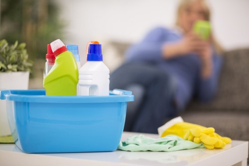 Cleaning appointment confirmation and service booking details